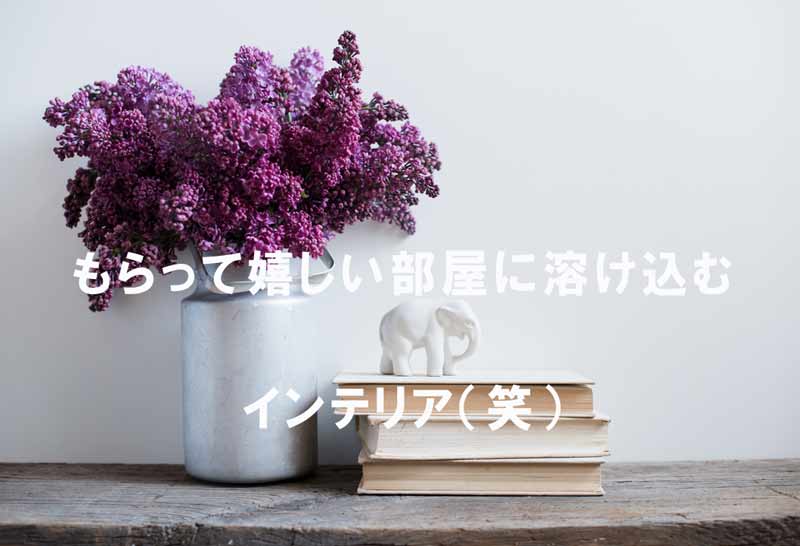 もはやインテリア!プレゼントでもOKな大人のおもちゃ - ぎゃるロリ学園 もはやインテリア!プレゼントでもOKな大人のおもちゃ - ぎゃるロリ学園